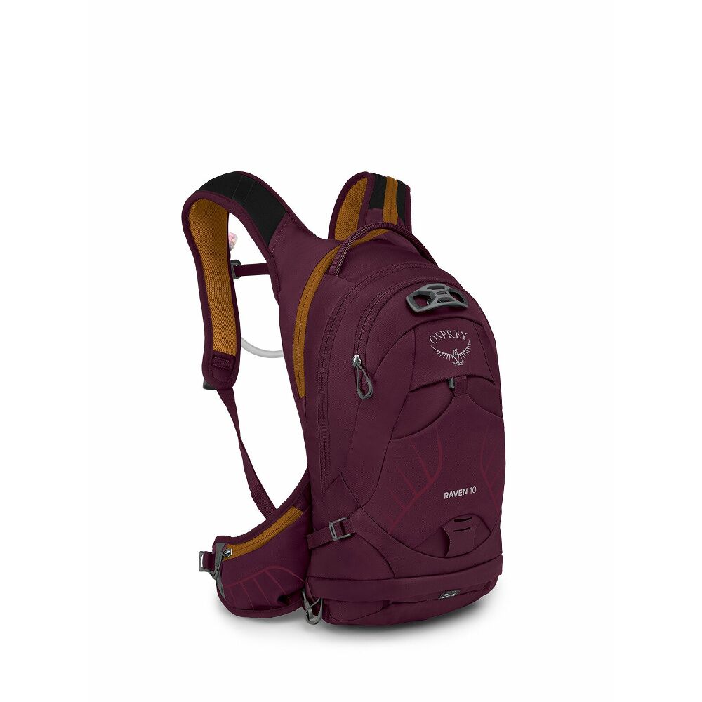 raven10l_s23_side_apriumpurple